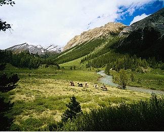 《JOJO的奇妙冒险 群星之战 重制版》新角色公布 今秋上线